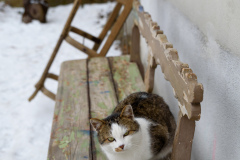 20170114-DSC_0853