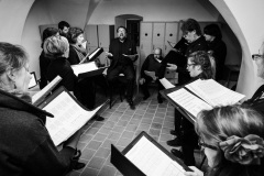 Dobrá novina - povánoční koncert