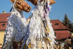 Masopust 2019