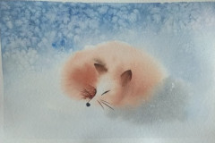 Liška | Zuzana Karlíková, Akvarel
