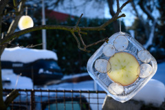 20210213-DSC_8118