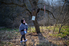 Hrušková bojovka