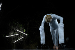 Feel the Universe Circus Company: Obojživelník. Představení jako součást Svátku světel 2021.