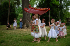 Královničky