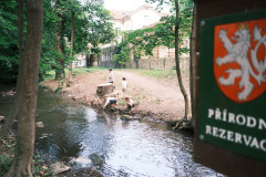 DSCF5644
