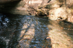 DSCF5660