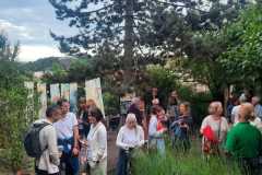 IMG-20250609-WA0003