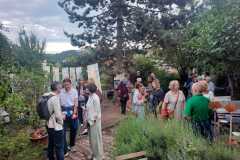 IMG-20250609-WA0005