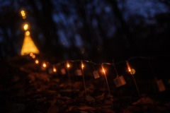 roztoc_svateksvetla_2025_2048px_janhromadko-1070