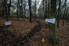 Svátek světla (Cestou necestou)