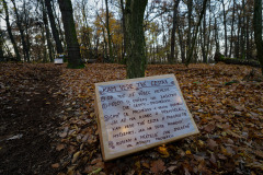 Svátek světla (Cestou necestou)