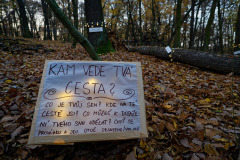Svátek světla (Cestou necestou)