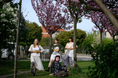 Den tance - MY:celium