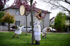 Den tance - MY:celium