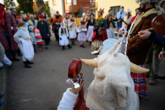 Masopustní obchůzka