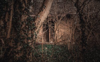 Fotografie opuštěného domu zarostlého stromy a liánami